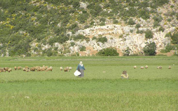 Bezirgan Koyu Tatil Villam