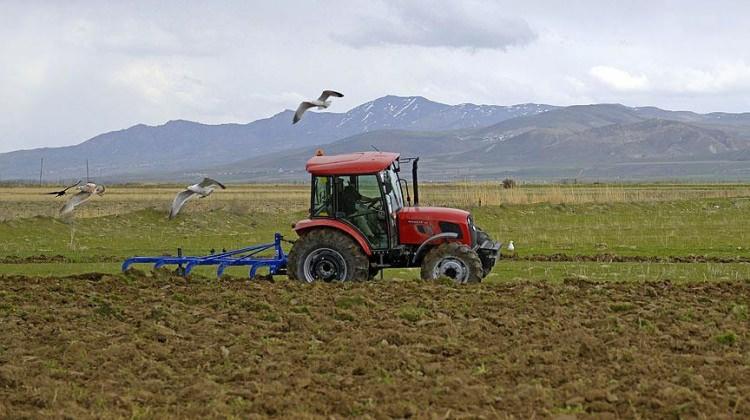 Tarım ÜFE ağustosta azaldı