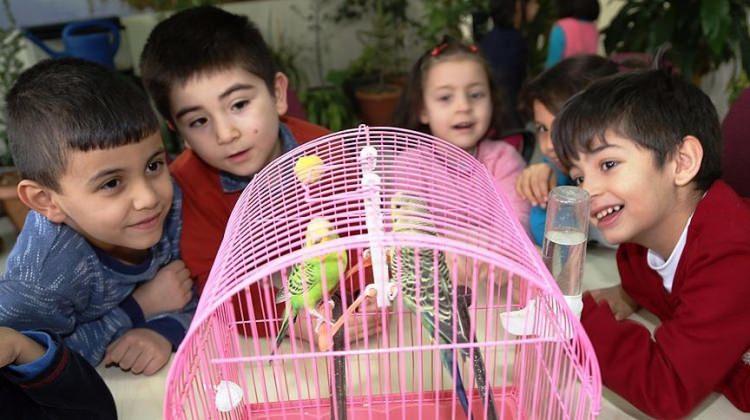 Okulda 'doğal yaşam alanı' oluşturdular