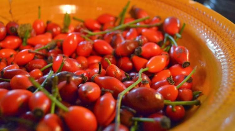 Limonun tahtını sallayan bitki Limonun tahtını sallayan bitki