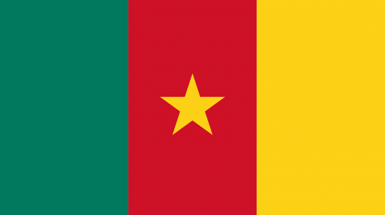 Kamerun'da mayın patladı!