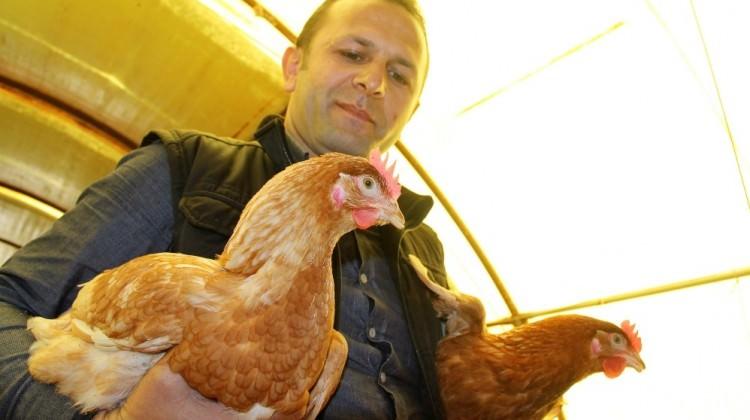 Ödünç aldığı 1 horoz, 2 tavuk hayatı değişti