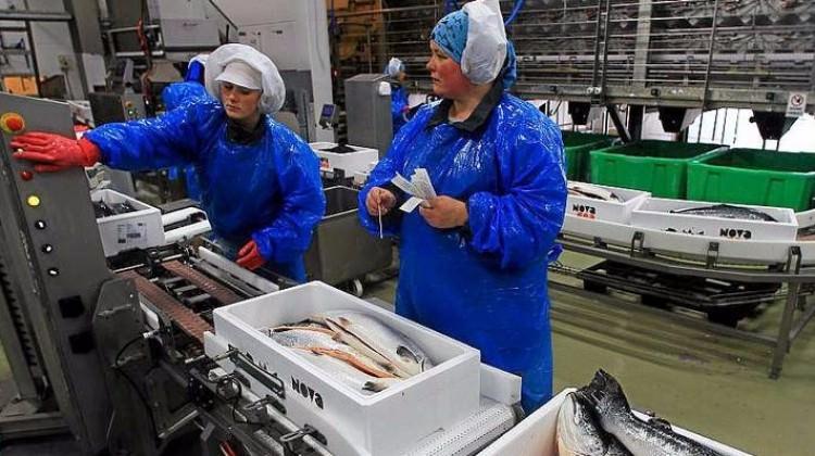Her bir çalışanına 22 bin Euro ikramiye dağıtacak