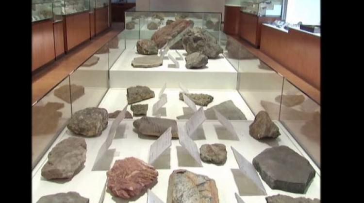 Çin’de 70 milyon yıllık dinozor yumurtaları Çin’de 70 milyon yıllık dinozor yumurtaları