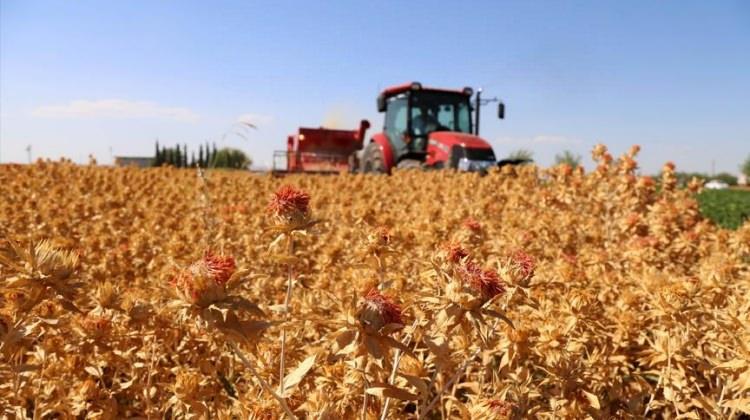 Dizel için flaş karar! Zorunlu oluyor