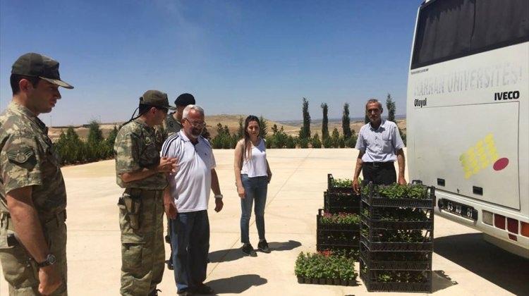 Süleyman Şah Türbesi'nde çevre düzenlemesi