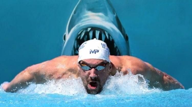 Michael Phelps köpek balığı ile yarışacak