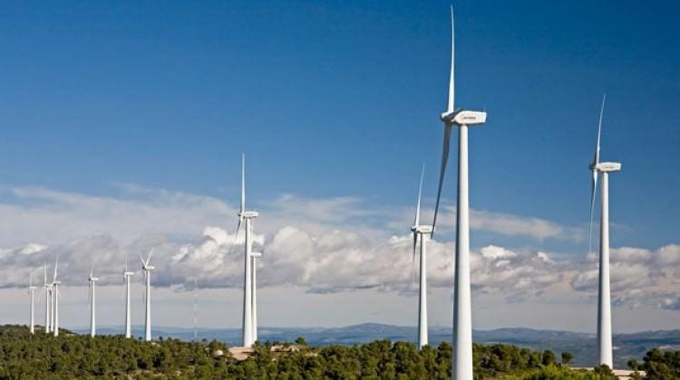AB'de elektriğin yüzde 10'u rüzgardan