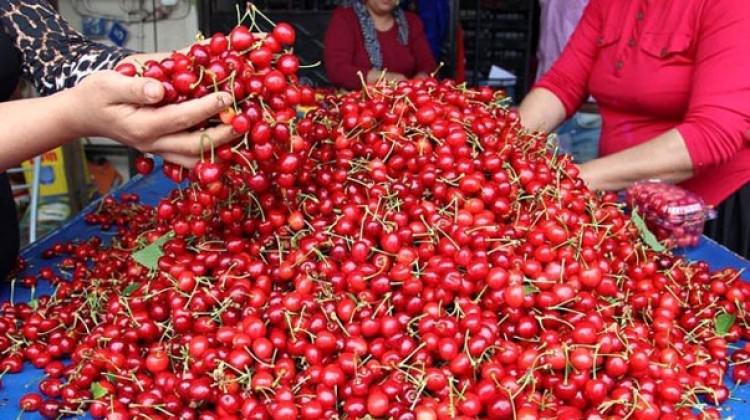 Demirci kirazı üreticinin yüzünü güldürdü!