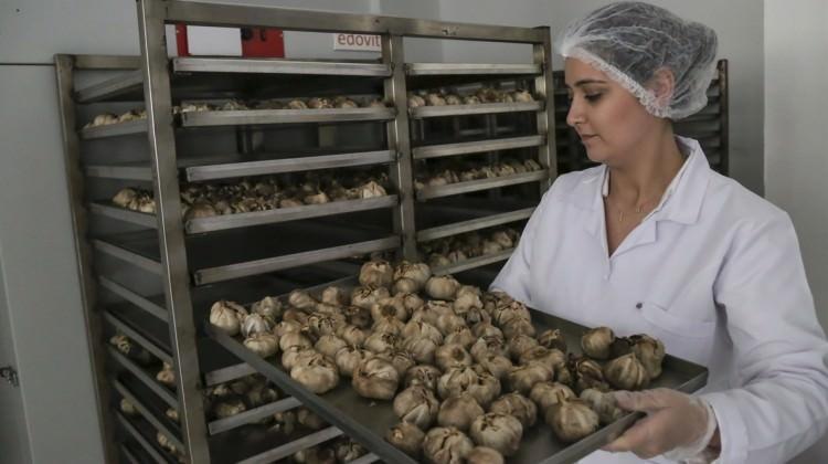 4 liraya alıyor 20 gün sonra 150 liraya satıyor