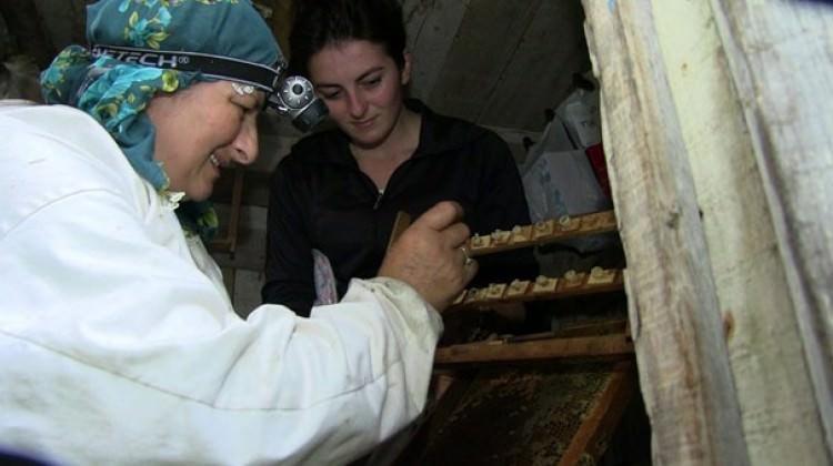 Ana kız kraliçe yetiştiriyor