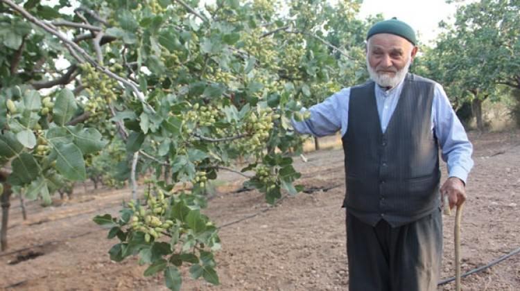 Baba sözünü dinledi, her yıl altın alıyor