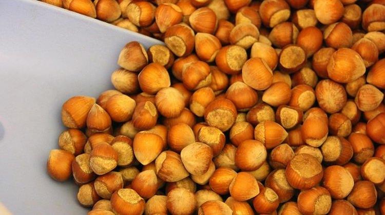 Fındık üreticilerine müjdeli haber