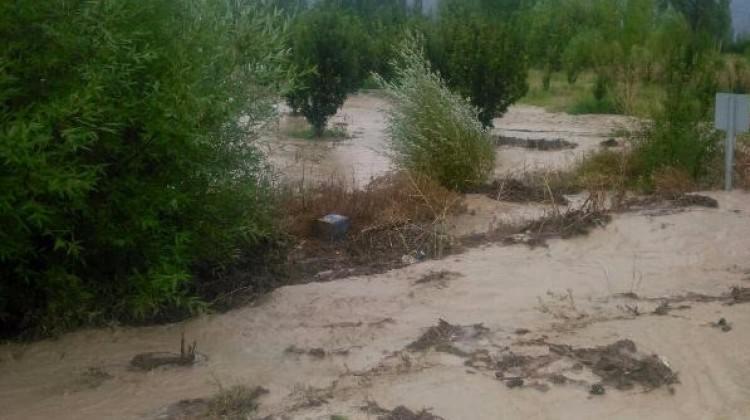 Elmalı'da şiddetli yağış sele neden oldu