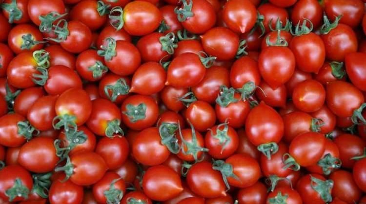Rusya tarih verdi! Kritik Türkiye açıklaması
