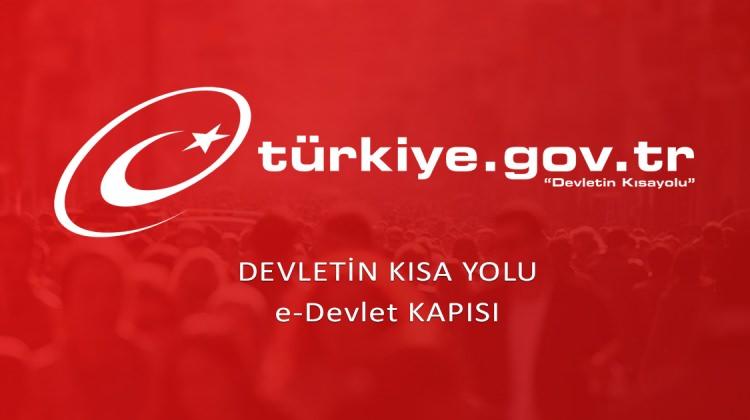 e-devlet uygulamasına gelen yeni hizmetler!