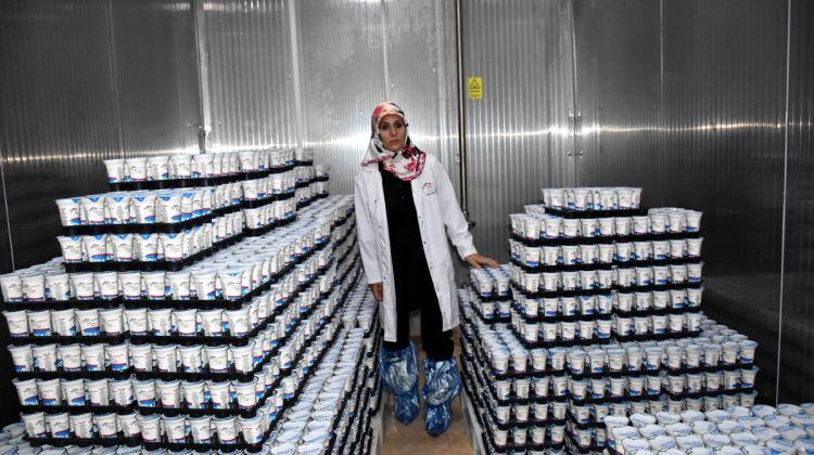 GİRİŞİMCİ KADINLAR - Muş'ta kurduğu fabrikada 20 kişiyi iş sahibi yaptı