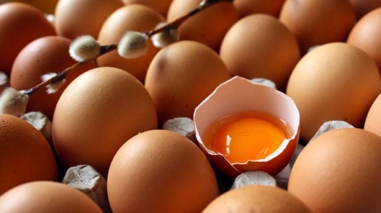 Türk yumurtası 19 ülkeye ihraç edildi