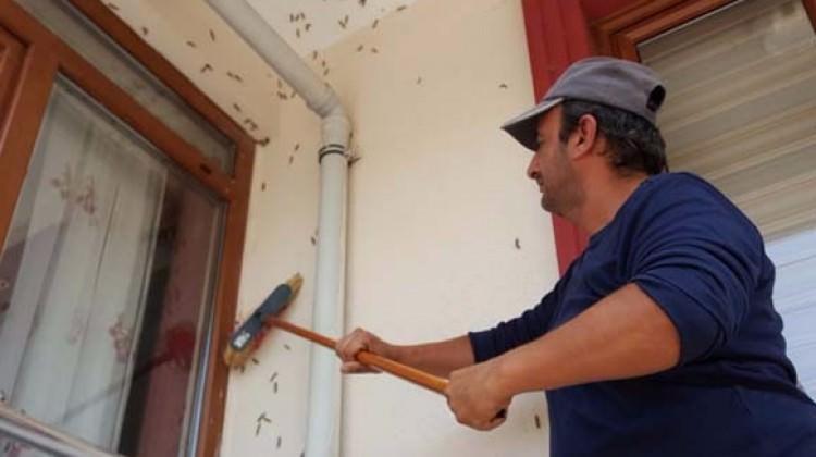 Kabus her yeri sardı: Valilik toplantıya çağırdı