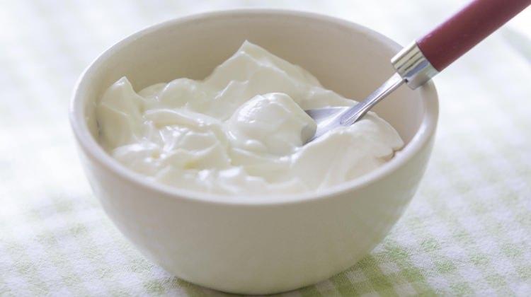 yoÄurt ile ilgili görsel sonucu