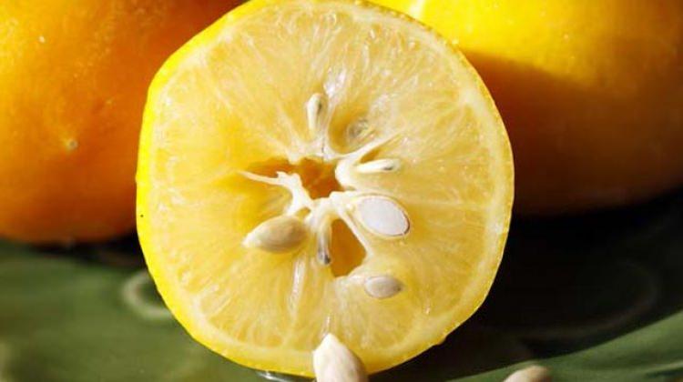 Limonu saçınıza sürerseniz...