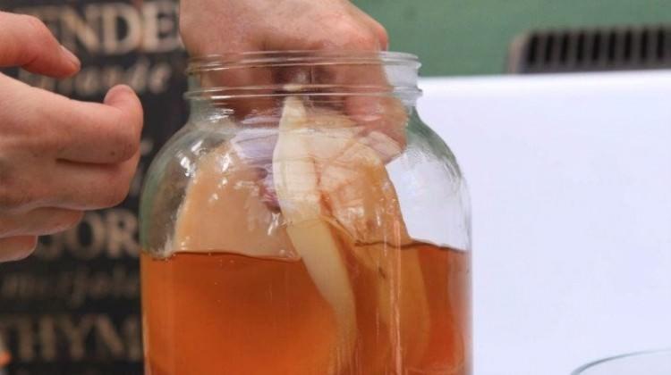 Kombu Çayı nedir? Kombu Çayı'nın mucize faydaları...