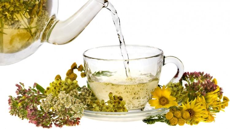 Sarı Kantaron Vücuda Faydaları Sarı Kantaron Vücuda Faydaları