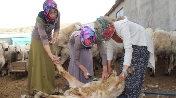 Kadınlar, erkeklerin işini elinden aldı