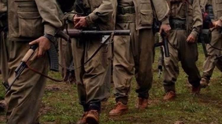 PKK ile ilgili dehşete düşüren gerçek!