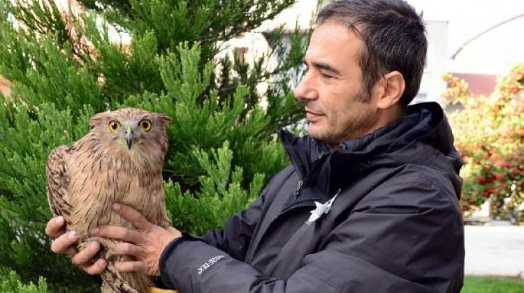 Burdur'da ilk kez balık baykuşu görüldü