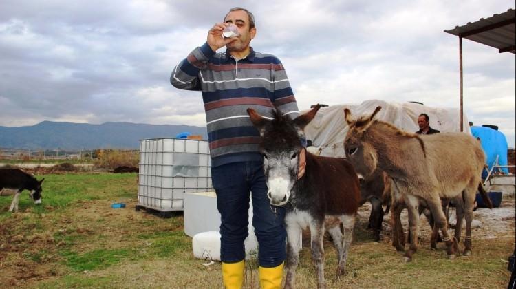Eşek sütüyle iyileşti şimdi ise çiftlik kurdu
