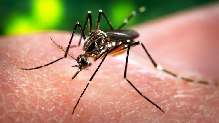 Zika Virüsü nedir? Türkiye'de Zika Virüsü var mı, belirtileri neler?