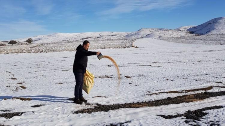 Aç kalan kuşlar için 85 kilometre yol gitti