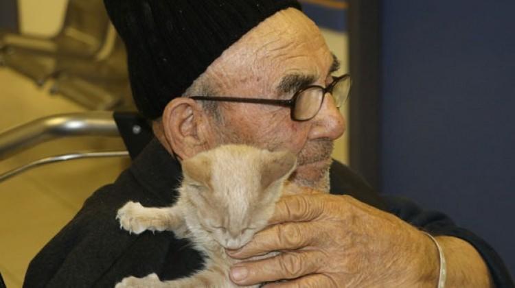 İbrahim Kalın aradı Ali Dede kedisine kavuştu