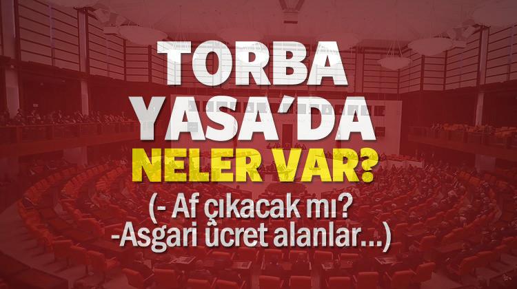 Af çıkacak mı? Torba yasasının içerisinde hangi maddeler var?