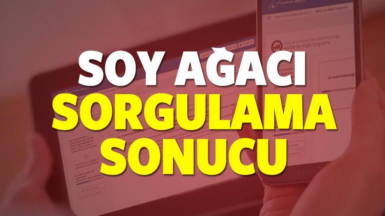 E-Devlet soy ağacı hangi bilgileri veriyor? Sorgulama sonuç sayfası...