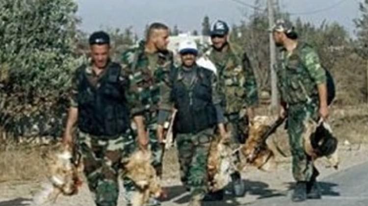 Hayatınız yalan! Şimdi de "tavuk hırsızlığı"