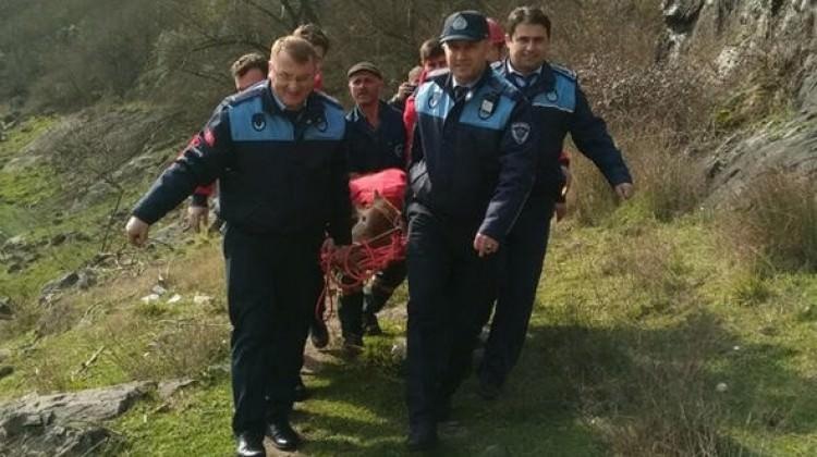 Danayı sedyeyle taşıdılar!