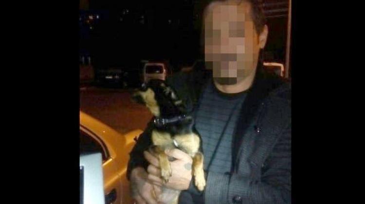 Köpek gezdiriyormuş gibi yapıyorlar ama...