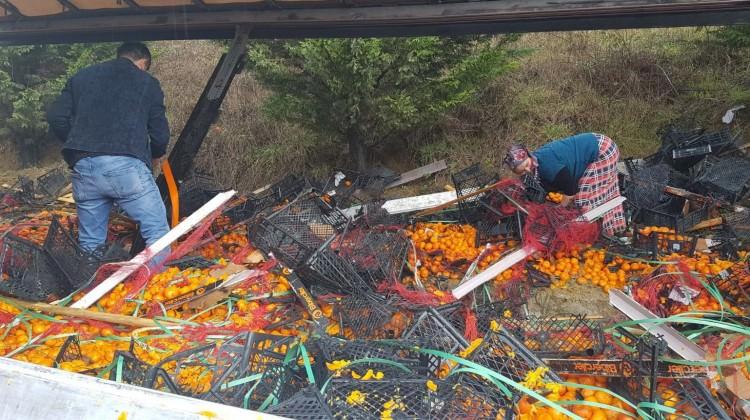 26 ton mandalinayı köylüler topladı