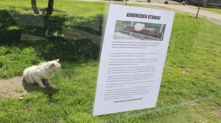 İstenmeyen kedi için astığı yazı ilgi odağı oldu