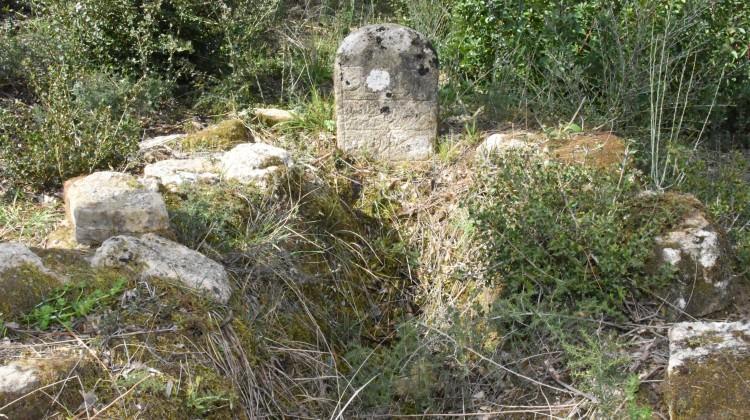 Şehit üsteğmenin mezarı 103 yıl sonra bulundu