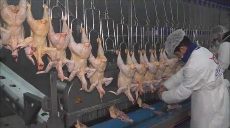 Türkiye ile Japonya arasında dev anlaşma!