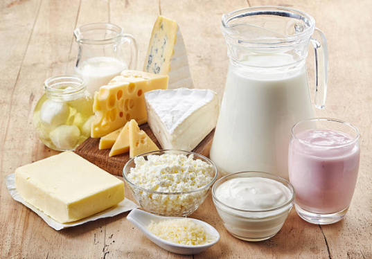 süt ve süt ürünleri