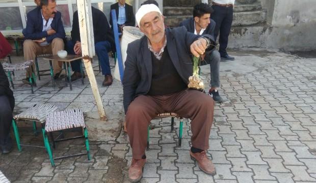 Bu otun kilosu 350 TL! Sadece bir aylık ömrü var