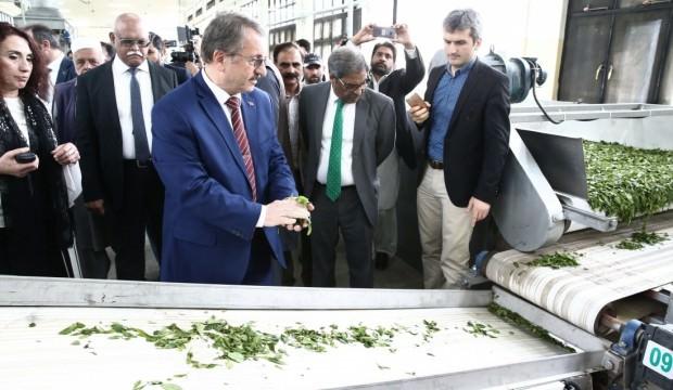 Çaykur Pakistan'da çay fabrikası açtı