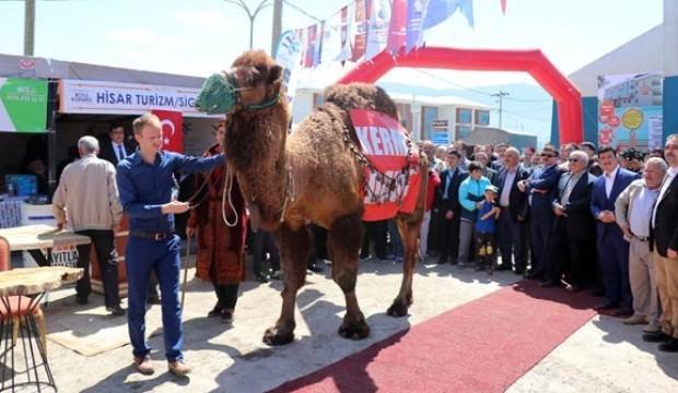 Açık artırmada satıldı, fiyatı dudak uçuklattı