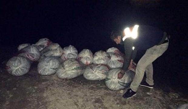Çuvallar içerisinde 2 ton ele geçirildi!