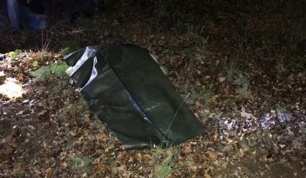 Mantar toplamaya giden adamın acı sonu