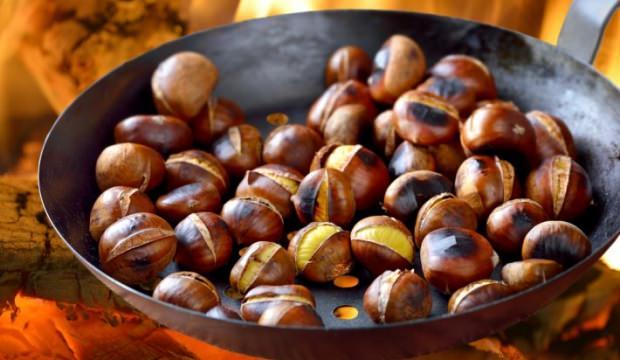 Kestane zehirlenmesi nedir Kestane alerjisi neden olur Kestane zehirlenmesi nedir Kestane alerjisi neden olur